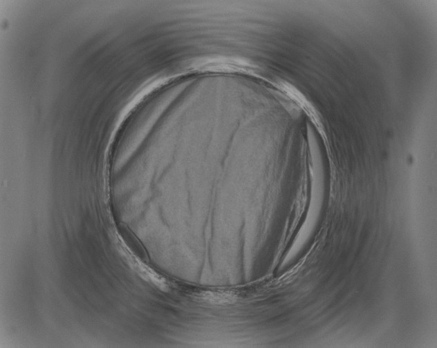 X0000081601384200702121538