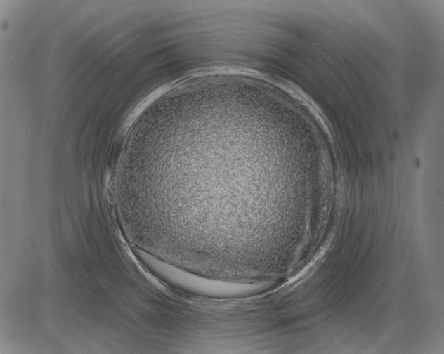 X0000081601385200702121538