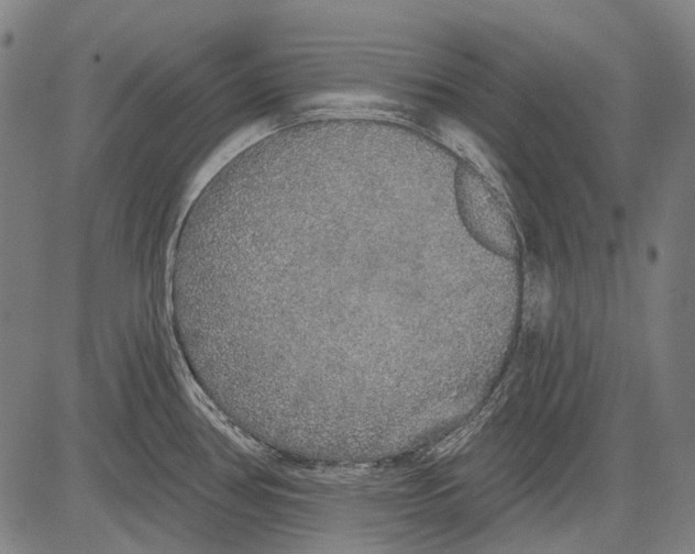 X0000081601386200702121538