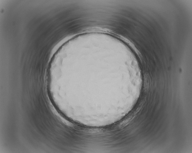 X0000081601387200702121538