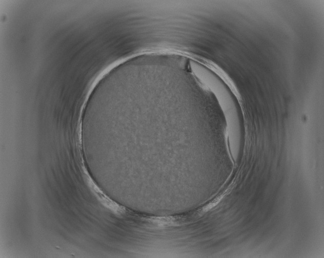 X0000081601388200702121538