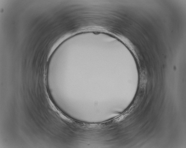 X0000081601390200702121538