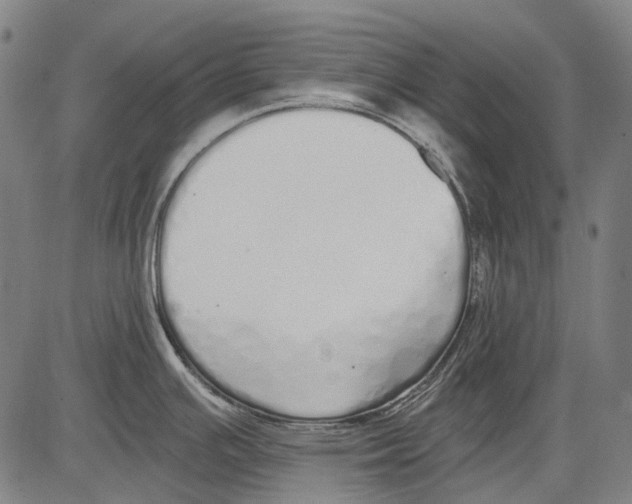 X0000081601391200702121538