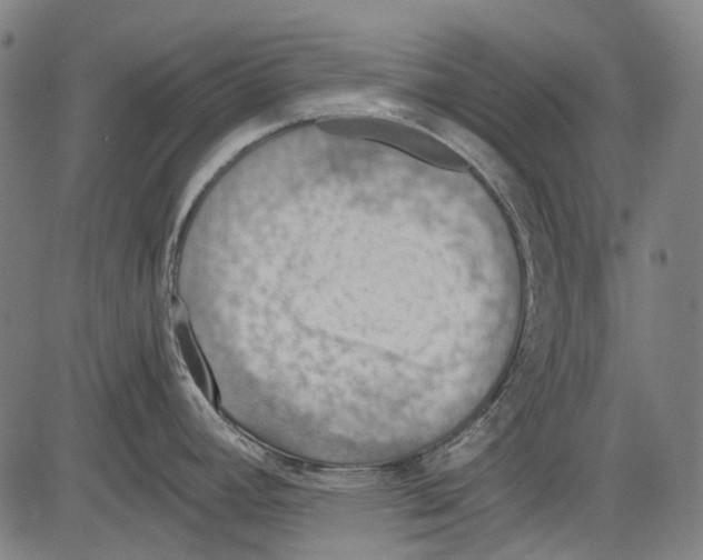 X0000081601392200702121538