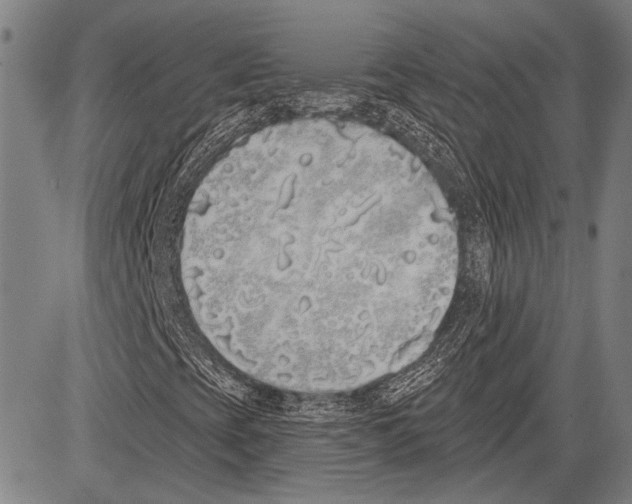 X0000081601393200702121537