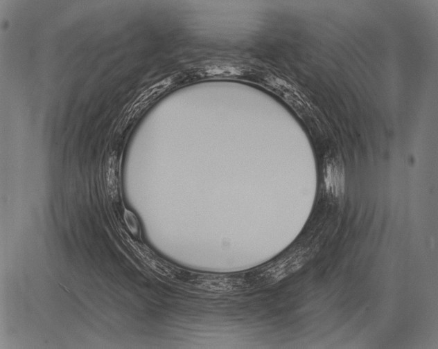 X0000081601396200702121537