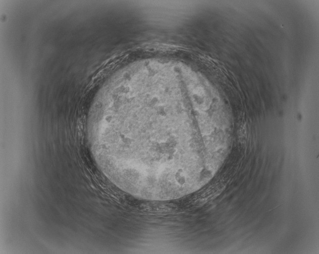 X0000081601397200702121537