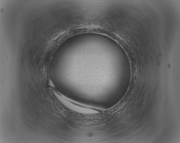 X0000081601398200702121537