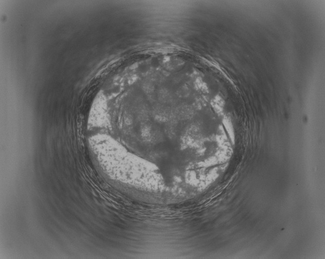 X0000081601399200702121537