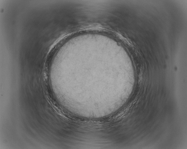 X0000081601400200702121537