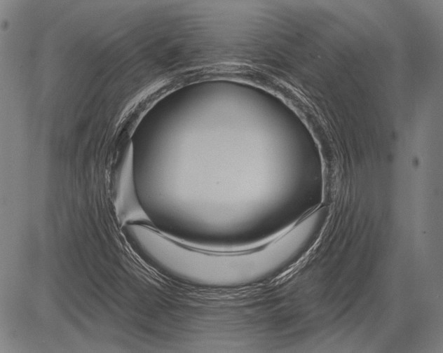 X0000081601402200702121537