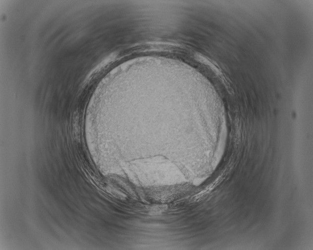 X0000081601403200702121537