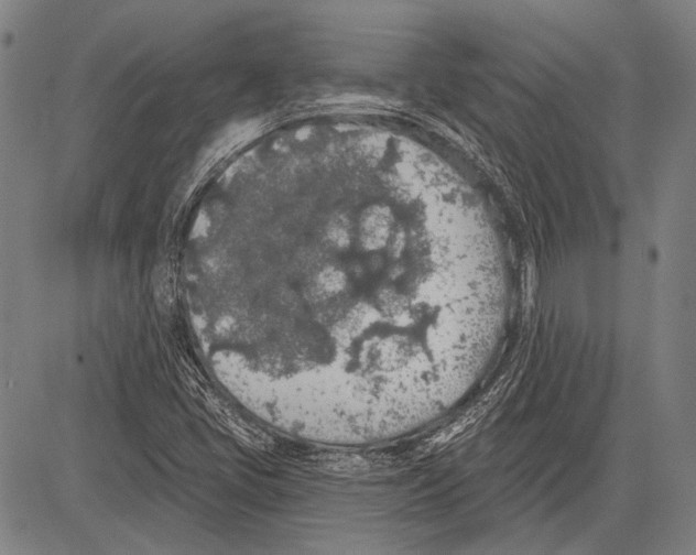 X0000081601405200702121537