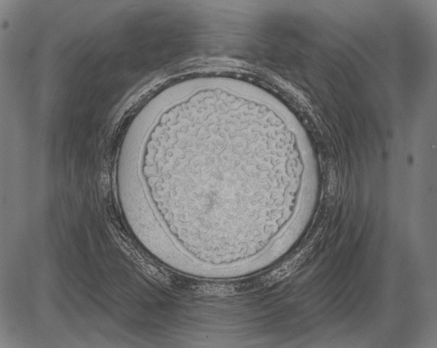 X0000081601407200702121537