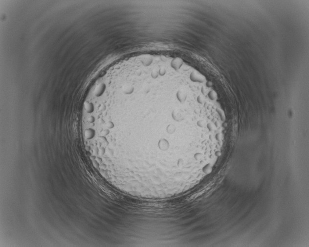 X0000081601409200702121537