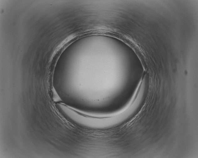 X0000081601410200702121537