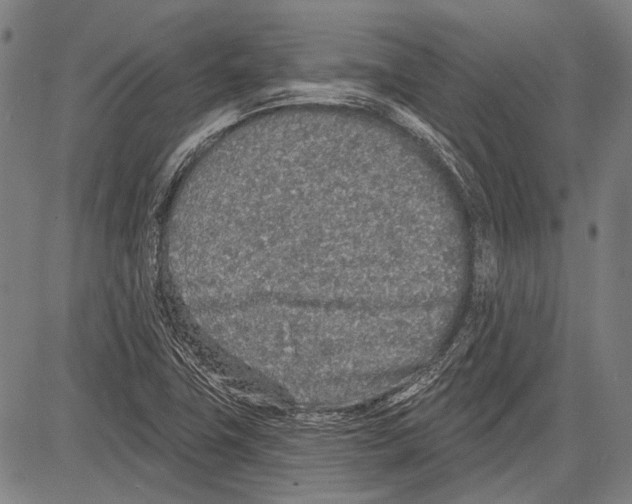 X0000081601411200702121537