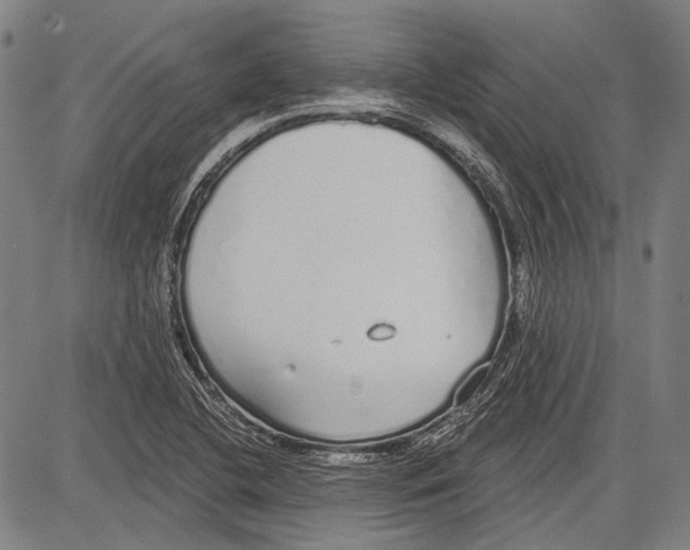 X0000081601412200702121537