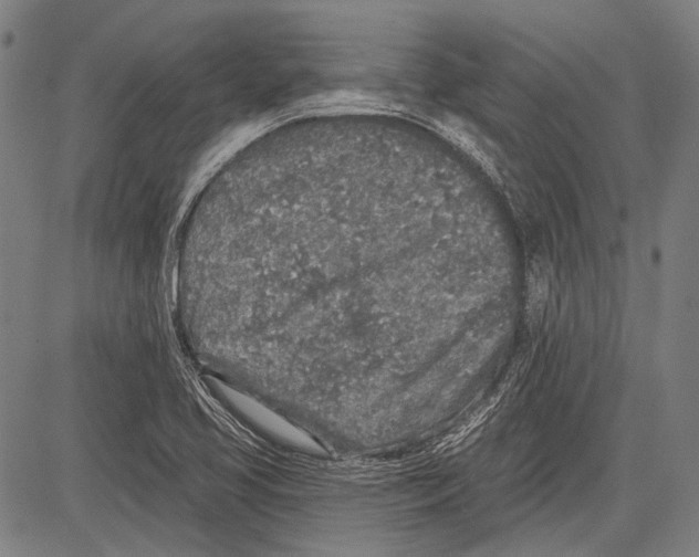 X0000081601413200702121537