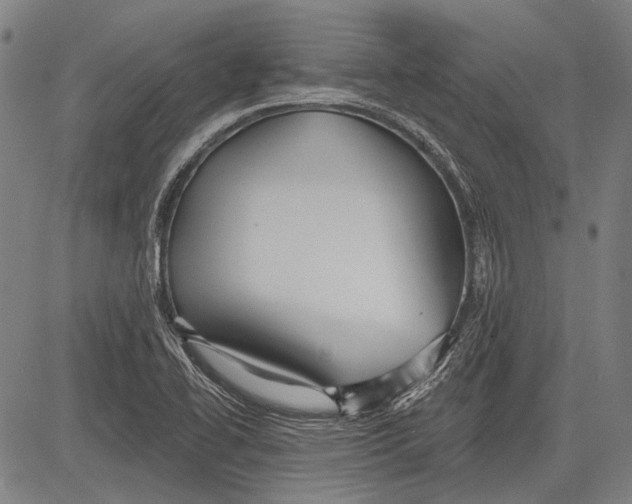 X0000081601414200702121537