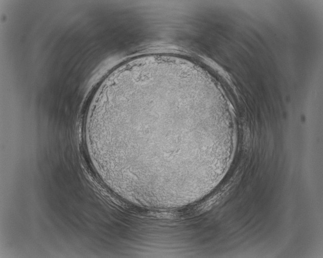 X0000081601415200702121538