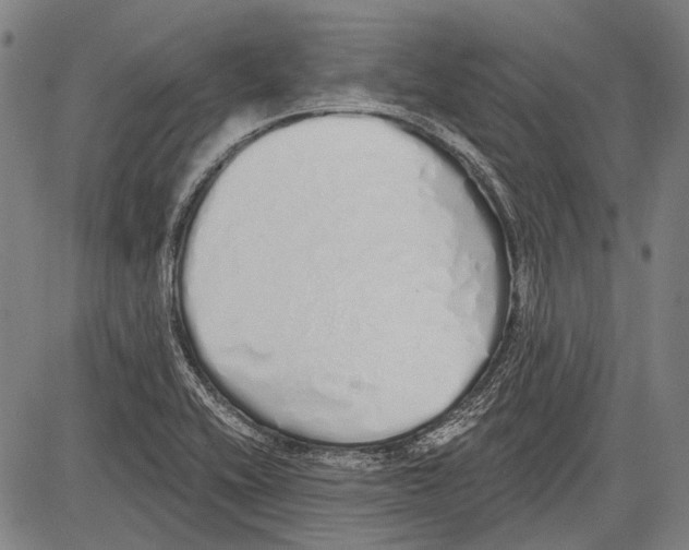 X0000081601416200702121538