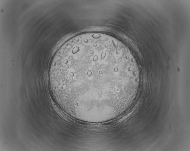 X0000081601417200702121538