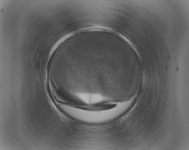 X0000081601418200702121538