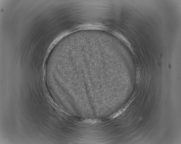 X0000081601419200702121538