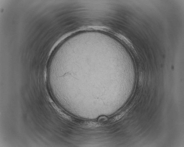 X0000081601420200702121538