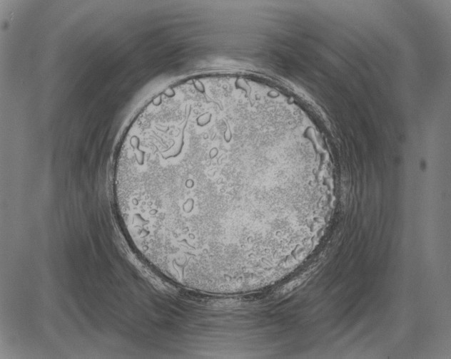 X0000081601421200702121538