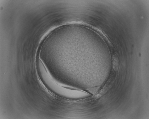 X0000081601422200702121538