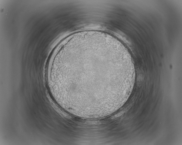 X0000081601423200702121538