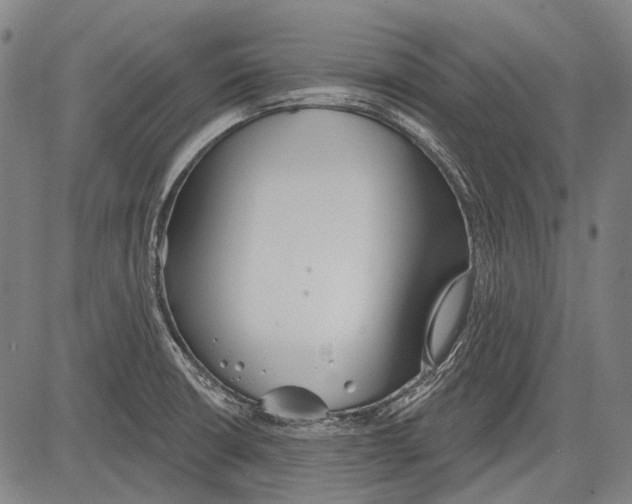 X0000081601426200702121538