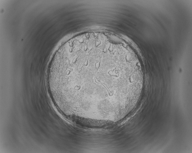 X0000081601429200702121538