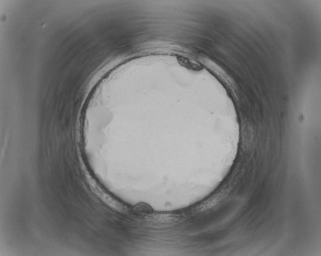 X0000081601431200702121538