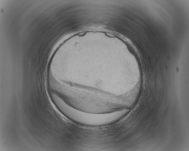 X0000081601432200702121538