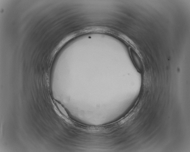 X0000081601433200702121538