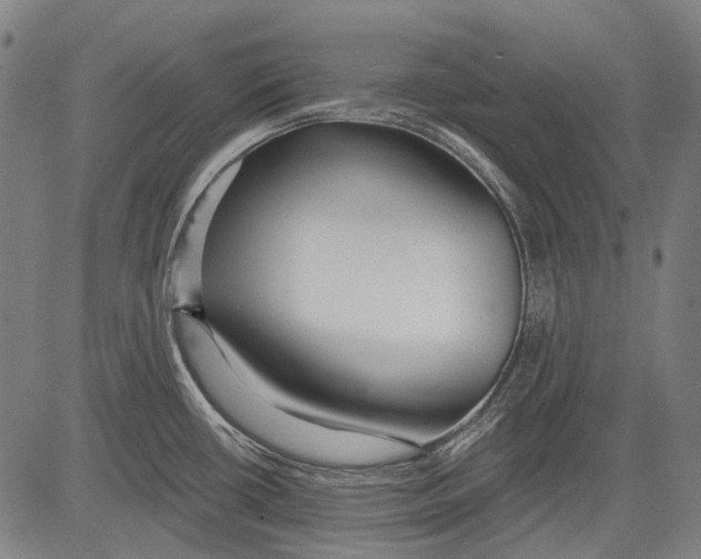 X0000081601434200702121538