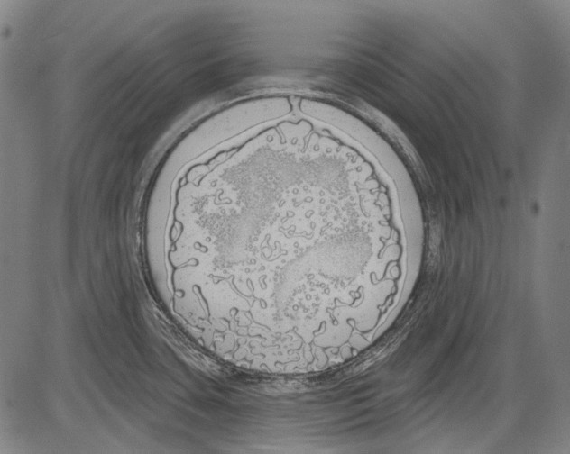 X0000081601435200702121538