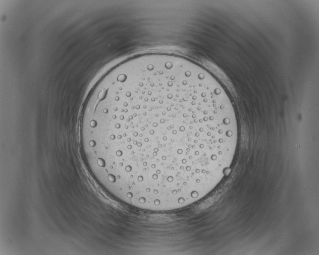 X0000081601436200702121538