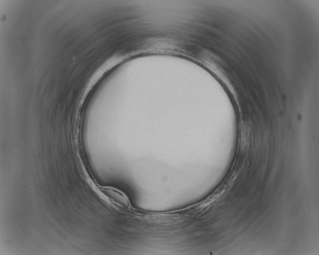 X0000081601437200702121538