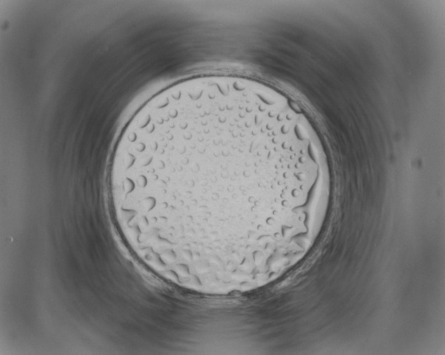 X0000081601440200702121538