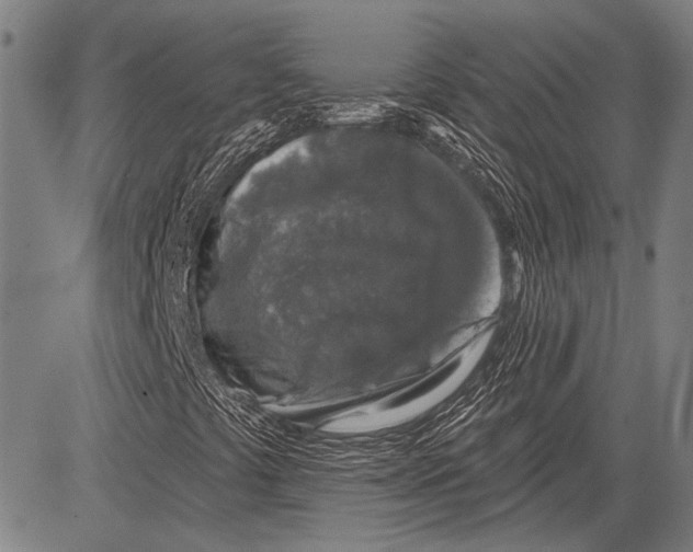 X0000081601441200702121537