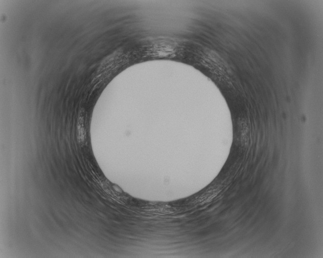 X0000081601442200702121537