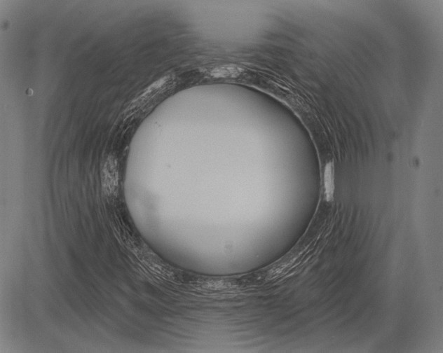 X0000081601443200702121537