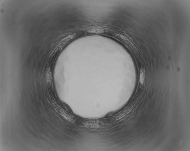 X0000081601444200702121537