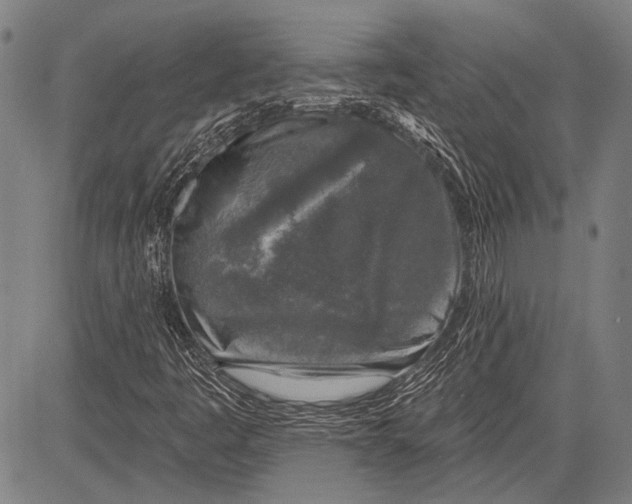 X0000081601445200702121537