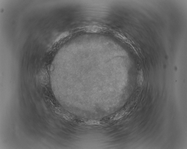 X0000081601446200702121537