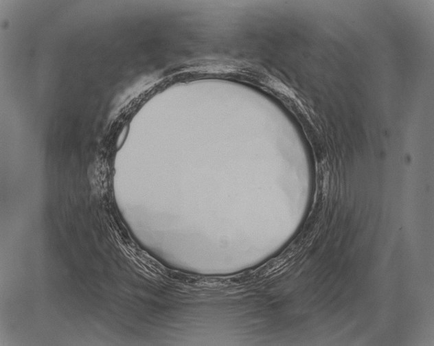 X0000081601448200702121537